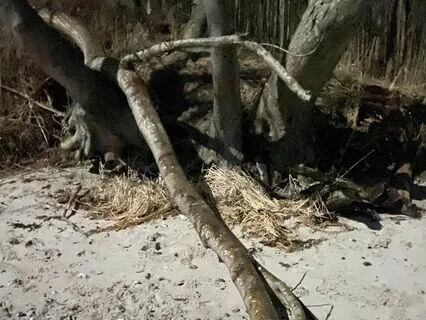 Nysgerighed og accept