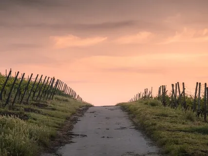O Caminho da Meditação: O Poder do Hábito