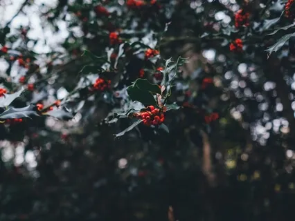 O Little Town Of Bethlehem