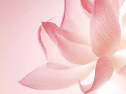 O Poder da Respiração 