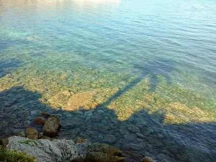 Oasis Of Calm - Body scan, Visualisation & Intention Setting