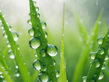 Oasis Of Stillness: Zen Piano Meditation