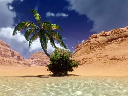 Oasis Serenity: Nature's Hidden Symphony