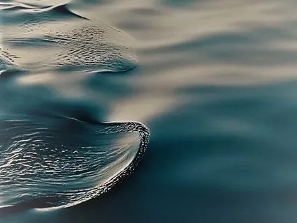 Observar as Emoções