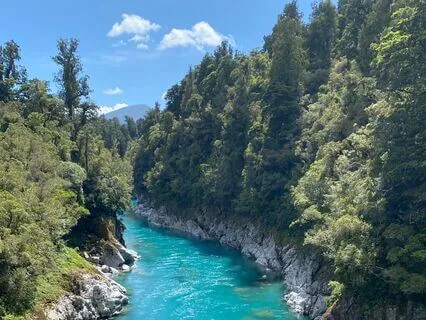 Observation Journal Practice