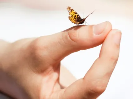 Observation Meditation: Being present Without Judgement