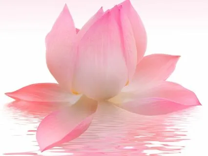 Observational Self-Awareness Meditation