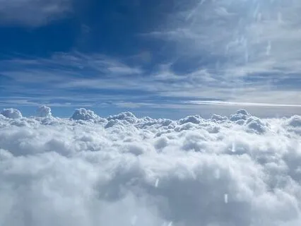 Observe And Allow - Body Scan Meditation