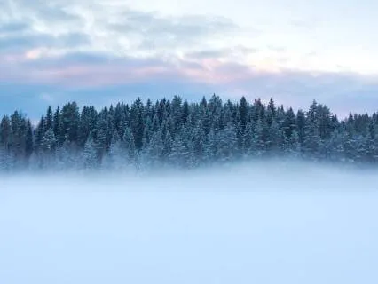 Mindful Breathing: Observe, Listen & Feel