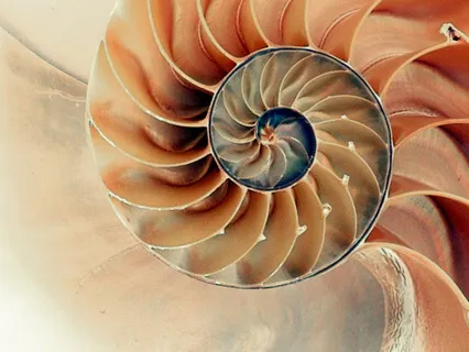 Observe The Shape Of Your Emotion