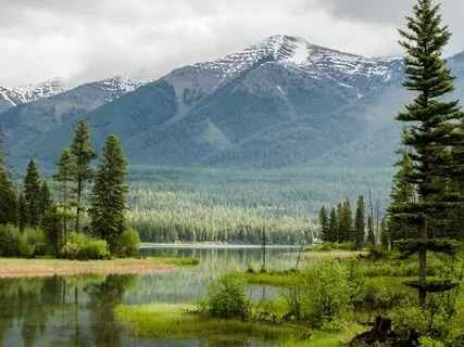 Observe Your Internal Experience : A Mindfulness Meditation