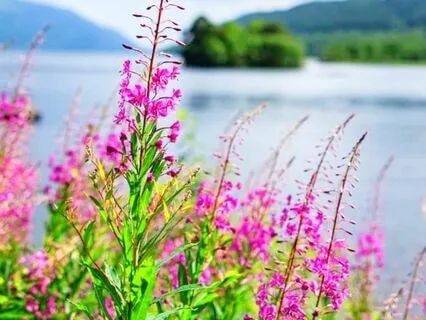 Observing And Understanding Your Emotions