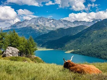 Observing Calm: Embracing Peaceful Awareness - Meditation 74