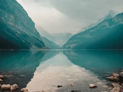 Observing The Breath