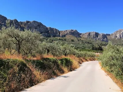 Observing The Feelings