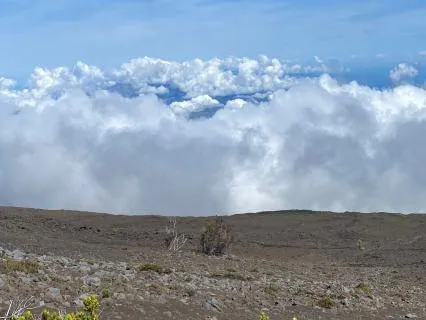 Observing The Mind: A Meditation On Thoughts And Feelings