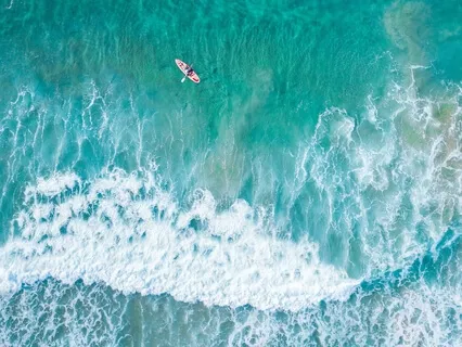 Observing The Mind & Body At A Distance