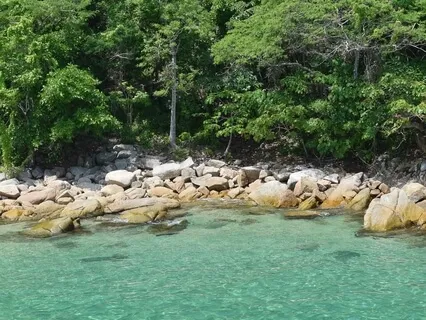 Observing The Mind Favorite Bench Meditation 