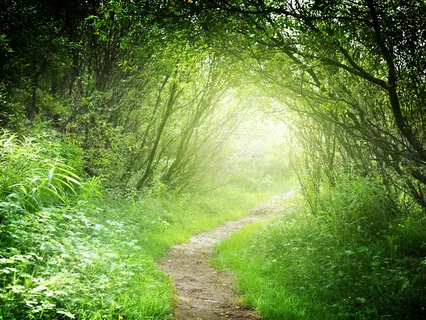 Observing The Perceptions