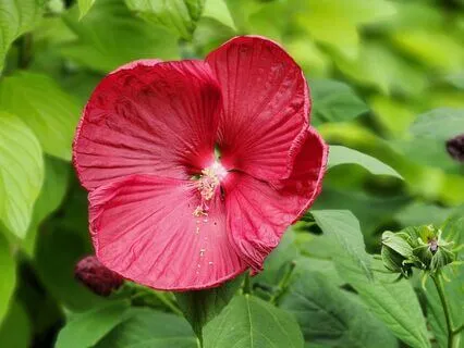 Observing This Moment