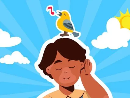 Observing With Your Senses