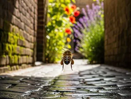 Obsession Coach (Advanced)