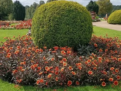 Eyes | Relaxing Piano Music