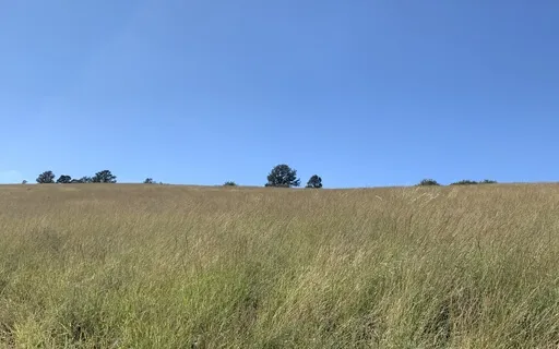 Occipital Meditation