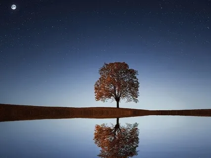 Occupying Your Space