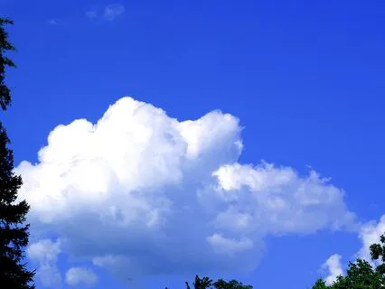 OCD Thoughts | Useful Technique