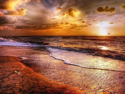 Ocean Beach Retreat - Sound Of Calming Waves 