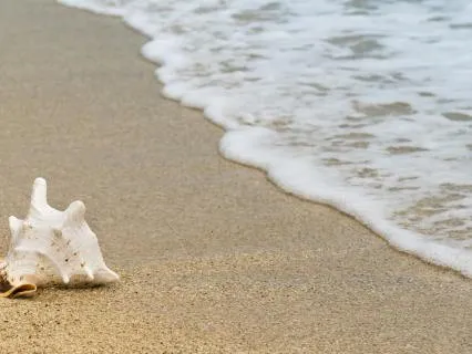 Ocean Body Scan : A Yoga Nidra For Deep Calm