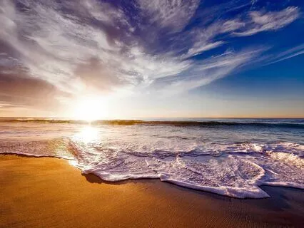 Ocean Bowls