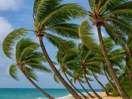 Ocean Breeze Through The Trees | Relaxing Sea Wind Sounds