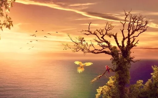 Ocean Came To Me-Piano Music With Nature