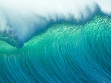 Ocean Coherence Breath Snack