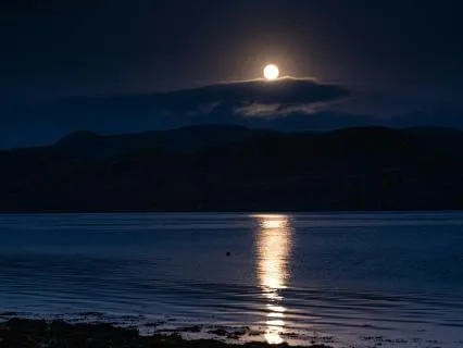 Ocean Sleep | Slow Down From 60 to 50 BPM | 8 Hours