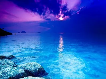 Ocean Dreams | Waves & Nature Sounds For Sleep