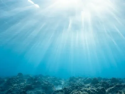 Ocean Drum: Relax Mind Body & Soul Sound Healing Music