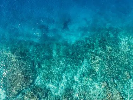 Ocean Feeling