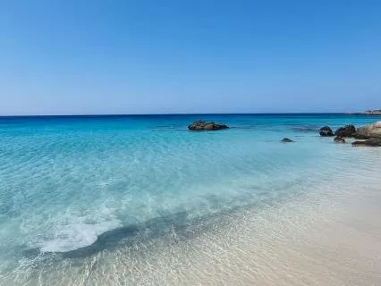 Ocean Flow: Tides Of Inner Calm