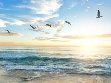 Ocean - NSDR / 16 Minute Yoga Nidra Practice