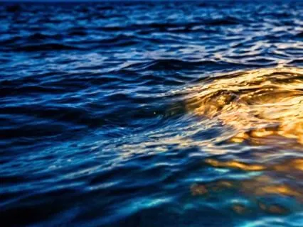 Ocean Of Bliss : Pisces New Moon & Equinox