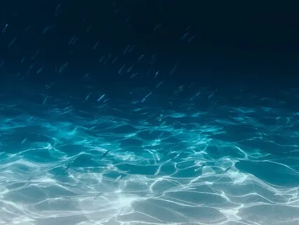 Ocean Of Healing Meditation