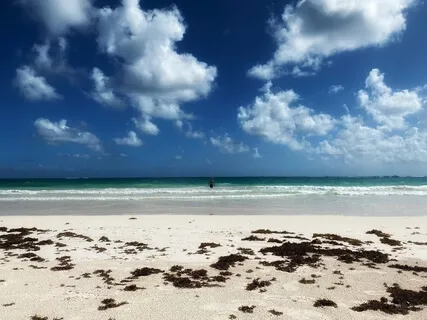 Ocean Of Holy Love - A Guided Meditation