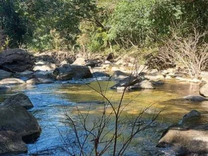 Ocean Of Quiet Dreams