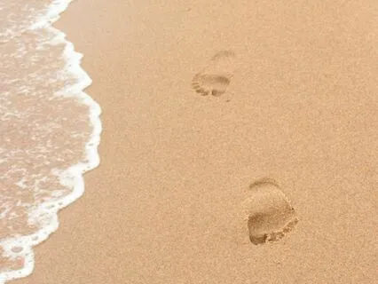Ocean's Embrace: Waves Of Tranquility