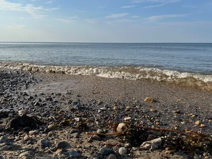 Ocean Serenity: Binaural Beach Waves For Relaxation