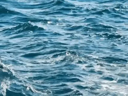 Ocean Sounds And Relaxing Music For Deep Sleep