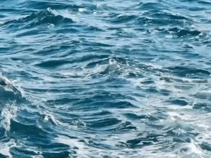 Ocean Sounds and Relaxing Music